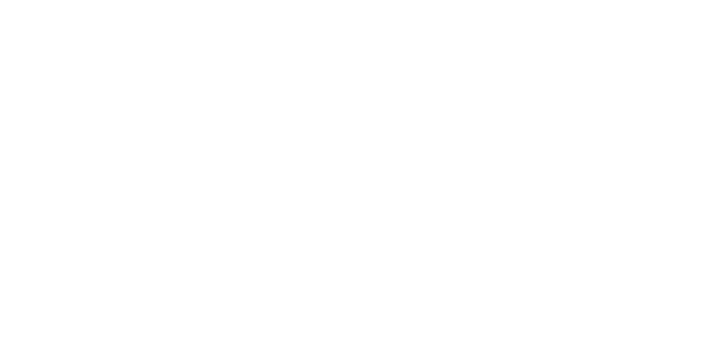 Pettit Consulting Logo